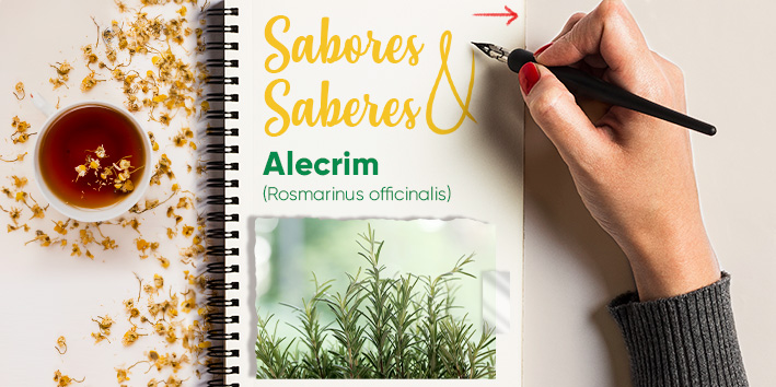 Sabores e saberes: Alecrim